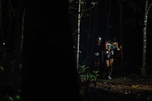 BIB: 
                            <button type="button" onclick="openModal(22565281)" class="btn btn-primary btn-sm float-right btn-popup" data-toggle="modal" data-target=".modal-high-quality">
                        <i class="fas fa-shopping-cart"></i> Add to Cart
                    </button>
                                            <button type="button" onclick="isThisMe(22565281, true)" class="btn btn-success btn-sm float-right btn-popup btn-isme hidden" data-toggle="tooltip" data-placement="bottom" title="นี่คือรูปของคุณใช่ไหม คลิกที่นี่เพื่อเอาเข้าอัลบั้ม">
                        <i class="fas fa-plus"></i> Add to album
                    </button>
                    <button type="button" onclick="isThisMe(22565281, false)" class="btn btn-warning btn-sm float-right btn-popup btn-isnotme hidden">
                        <i class="fas fa-ban"></i> Remove from album
                    </button>